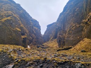 USa spesialisten Amerikaspesialisten, nordmannsreiser, cruisereiser